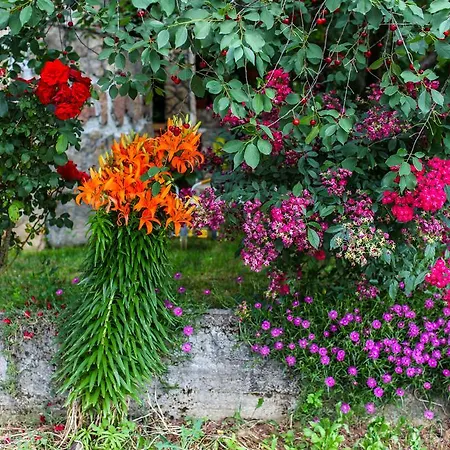 Guest house Ana Stjepan Nikolic - Pilgrim's 2nd Medjugorje